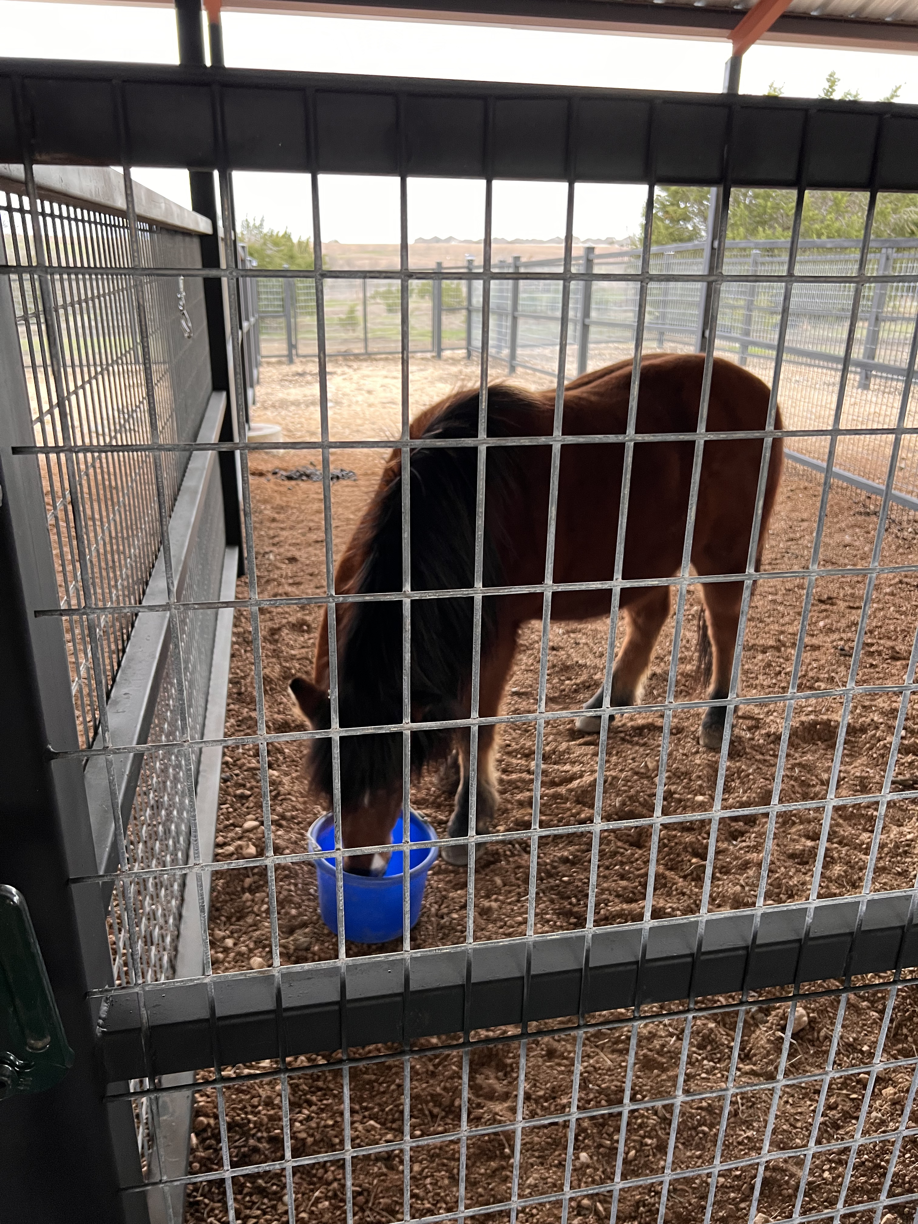 ./2023/02 - Texas/IMG_6556(1).jpg